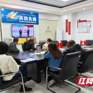 两新党建聚合力，共织网格“清廉网”，同“新”协力谱新篇