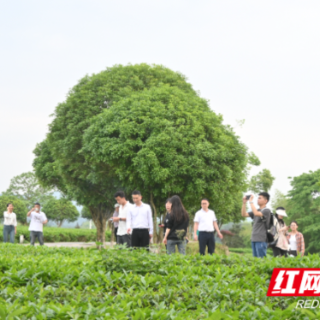 大V采风行，邀你“五一”来星沙