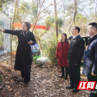 谭勇赴岳麓山风景名胜区检查安全生产工作