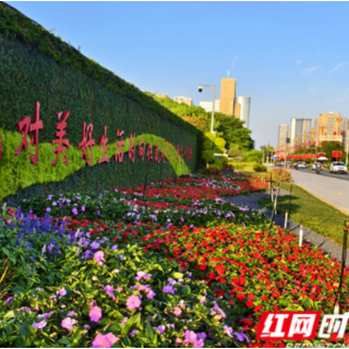 “五一”“花毯”扮靓星城 园林匠心绣出城市芳华
