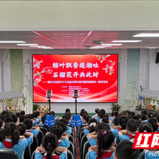 粽叶飘香连湘吐 石榴花开共此时