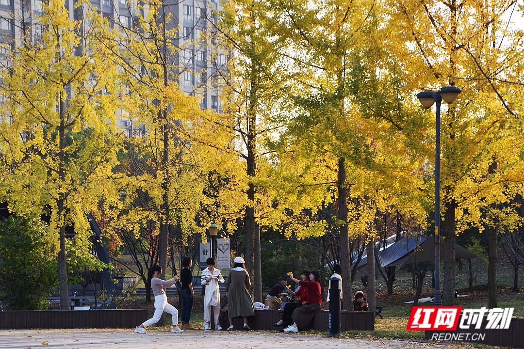 DSC_1588_副本.jpg