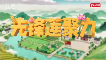 先锋莲聚力丨湘潭县稻田里的“科技智囊团”