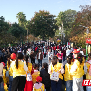 视频丨湘潭市中医医院第十三届“秋冬养生膏方节”展示养生智慧