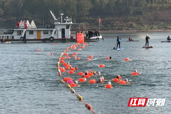 我爱湘潭我的家丨万楼为幕 湘江作台 冬日“泳”者绘就莲城风景线