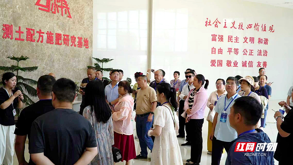 新农人手记⑩丨湘潭新农人用“管理密钥”打开现代农业升级路