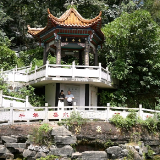 高素质农民成长记丨张英：从“外来媳妇”到乡村振兴“排头兵”