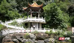高素质农民成长记丨张英：从“外来媳妇”到乡村振兴“排头兵”