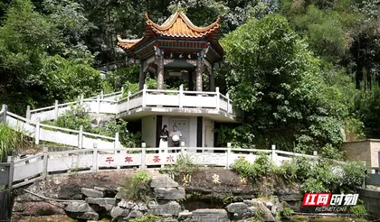 高素质农民成长记丨张英：从“外来媳妇”到乡村振兴“排头兵”