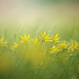 诗词丨童中贤：惟楚有材，屈贾风脉，心忧天下歌咏稠