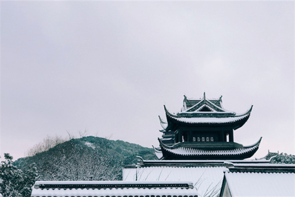 jessezhou-AoVYYbzP1Rw-unsplash.jpg