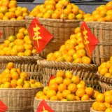 二十四节气·霜降丨露浴梧楸白 霜催橘柚黄