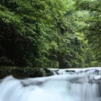 肖建新：美丽的借母溪