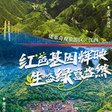 联动海报④｜矮寨×江西：红色基因辉映 生态绿意盎然