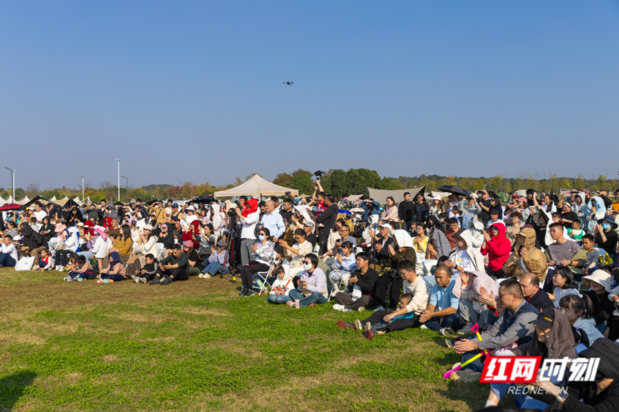 IMG_8654.png IMG_8654.png