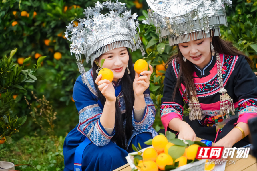 IMG_0402.jpeg IMG_0402.jpeg