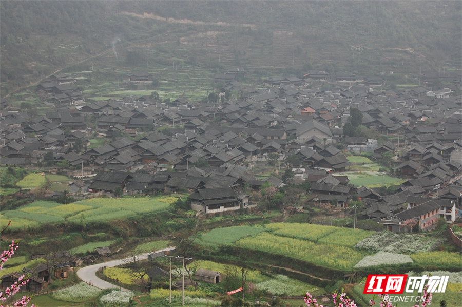 全景1.jpg