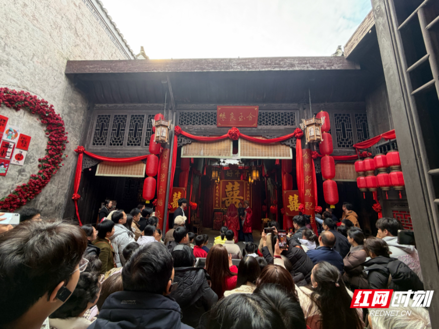 IMG_5292.jpeg IMG_5292.jpeg