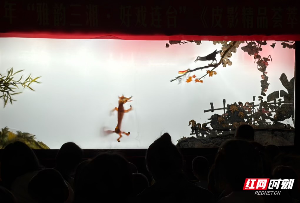 IMG_9383.jpeg IMG_9383.jpeg