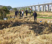 筑牢秸秆禁烧“防火墙” 湘江新区城管执法在行动
