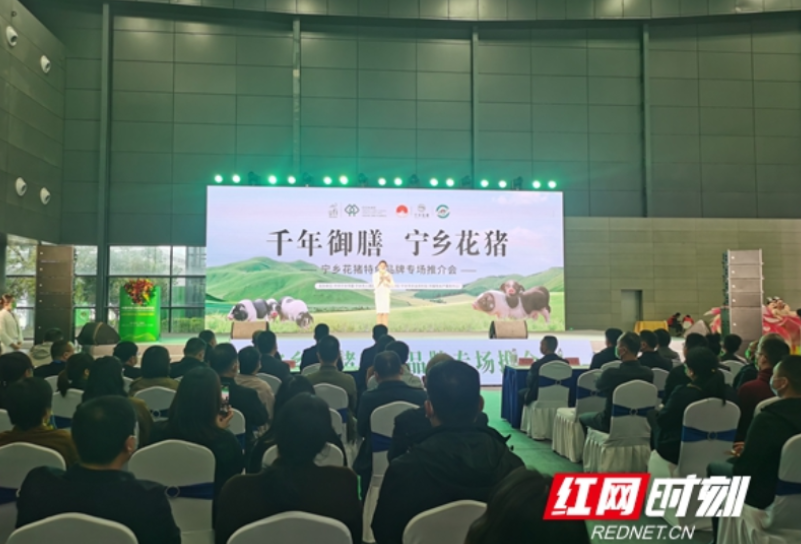 农博会上来了“动物明星”！宁乡花猪实力“圈粉”