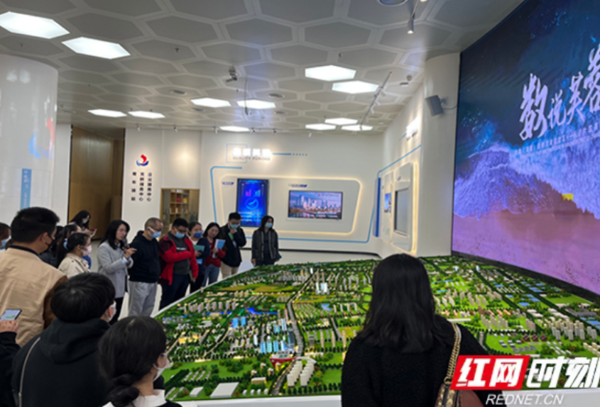 走进自贸 共赢未来——芙蓉区块举办入驻企业交流活动