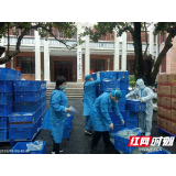 “艺”往无前 志愿者精准配送生活物资