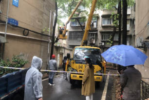 “危树”不见了 消除隐患民心安