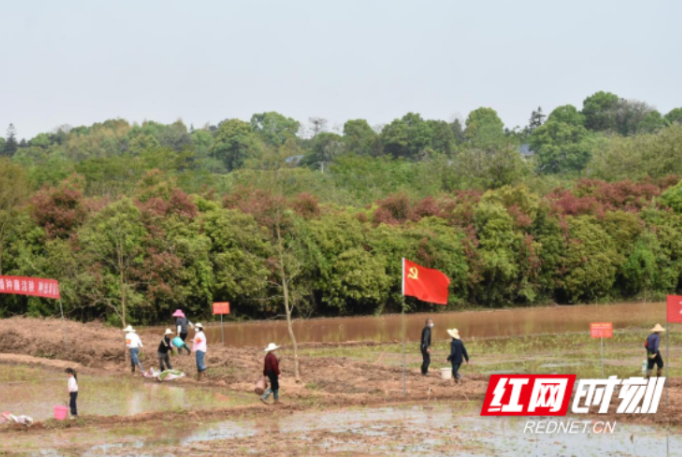 组图 | 人勤春来早 党旗别样红