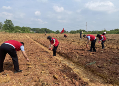 “小网格”撬动综合执法效能“大提升”