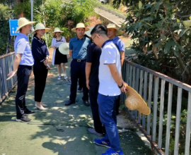 乡村振兴桥驿行 助渠通 盼水清 