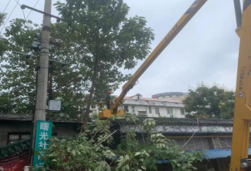 大树枯枝摇摇欲坠 社区为民“剪”烦恼