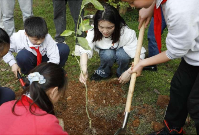 给孩子们讲一讲：柑橘树里的振兴梦