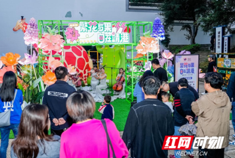 到靖港，畅享自然之美的艺术盛宴