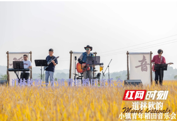 小镇不小，青年青春！来宁乡聆听金秋“乐”章