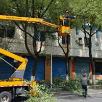 长沙城管开展路灯增亮行动，筑牢夜间出行安全防线