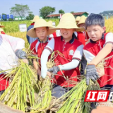 厚植劳动与家国情怀 小小少年赓续“禾下乘凉梦”