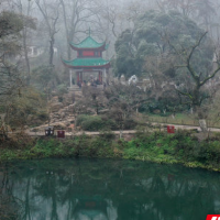 雪后天晴！岳麓山今日部分开园   