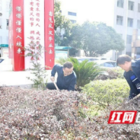 师生携手植树  共筑绿色校园