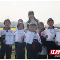 趣“研”乐成长 学科巧融合