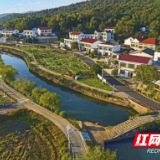 桐木村，从好山好水里蹚出致富路