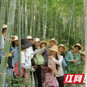 长沙卫生职院：把课堂搬入大山深处 师生在教与学中体验中医药魅力