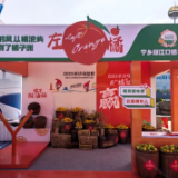 2025长沙马博会即将启幕!宁乡双江口镇携“橘”而来,打造农文旅体融合新模式