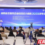 逆势增利、研发加码,2025湖南互联网企业综合实力报告发布