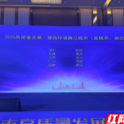 长沙入选2025高质量发展“营商环境典范城市”“数字赋能智慧城市”实践样本