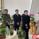 推进花木产业发展  助力乡村全面振兴