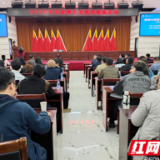 解锁AI新招式  长株潭200余家企业共赴数智之约