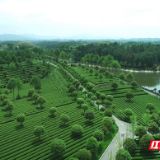 长沙县盲盒计划 | 诗与“附近”的小众漫游指南