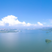  文人品格与人文精神 交织的锦绣华章