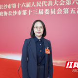 跨越山海的“列席”:听,他们如何为长沙连接世界